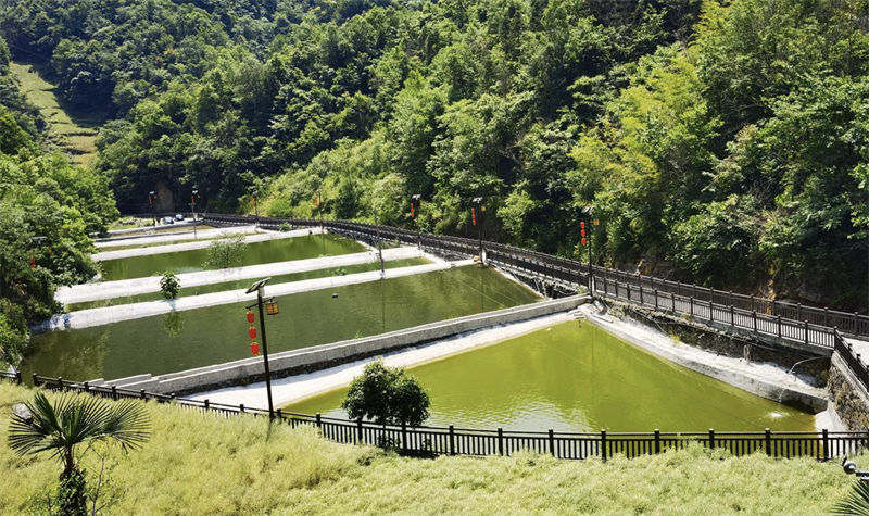陜西省白河縣：好山好水養好魚